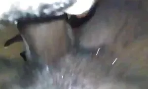Reina ébano opuka af ...
